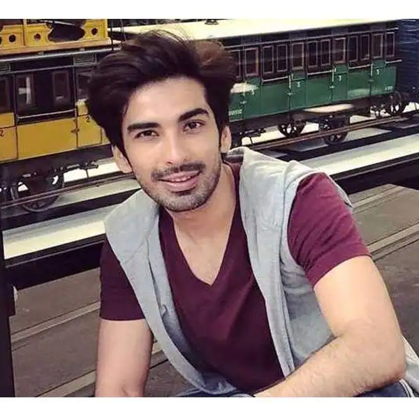 Bigg Boss 16: Mohit Sehgal