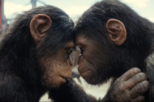 KINGDOM OF THE PLANET OF THE APES, from left: Soona (voice: Lydia Peckham), Noa (voice: Owen Teague), 2024. © Walt Disney Studios Motion Pictures / Courtesy Everett Collection