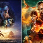 'Avatar' could become the next billion-dollar franchise, or the next 'Fantastic Beasts'